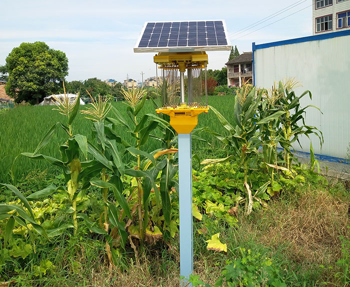 油菜基地殺蟲燈多少畝一個(gè)